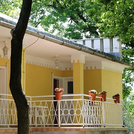 Sir David Balaton Castle Chalet *