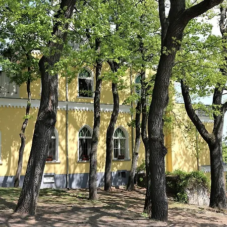 Sir David Balaton Castle Chalet Balatonszepezd