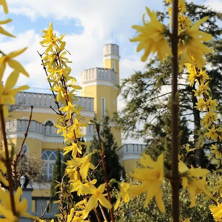 Sir David Balaton Castle Balatonszepezd