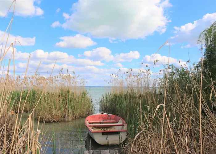 Dağ evi Sir David Balaton Castle *