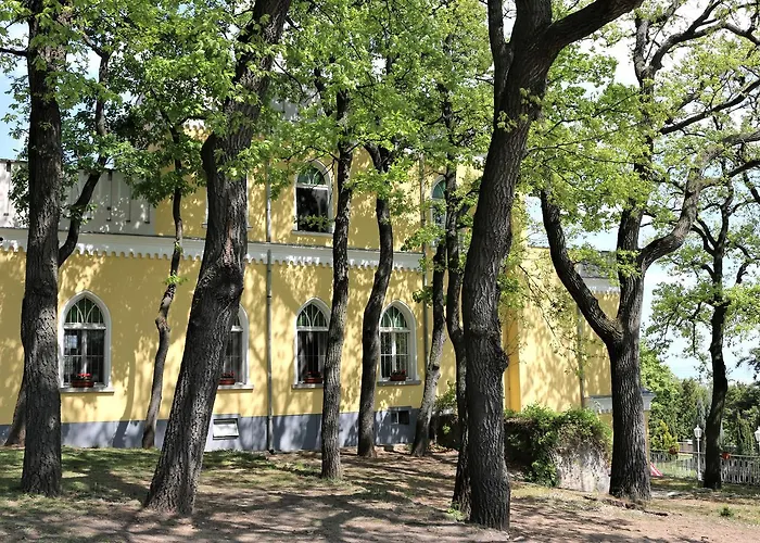 Sir David Balaton Castle シャレー バラトンセペズド