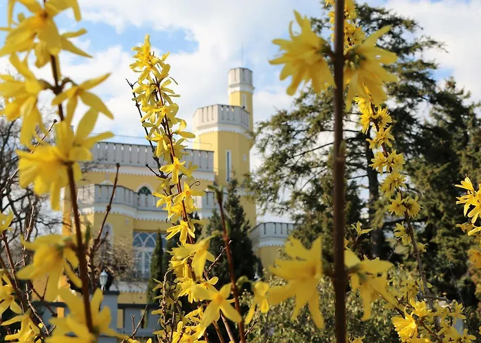 Sir David Balaton Castle バラトンセペズド