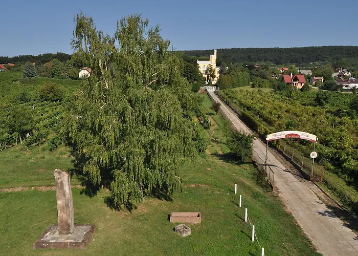 Sir David Balaton Castle